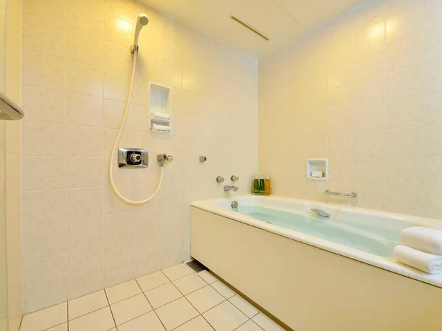 Standard Room - Lower Floor - Non-Smoking، Urayasu Brighton Hotel Tokyo Bay 4/4