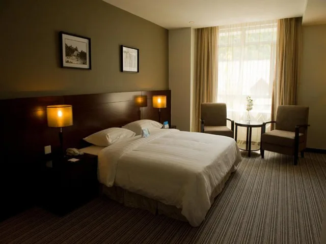 غرفة سوبيريور بسرير كينج، Hotel Sixty3 2/6