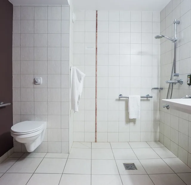 غرفة قياسية بسرير كوين لذوي الإعاقة، HOSTELLERIE D'AUSSOIS 3/4