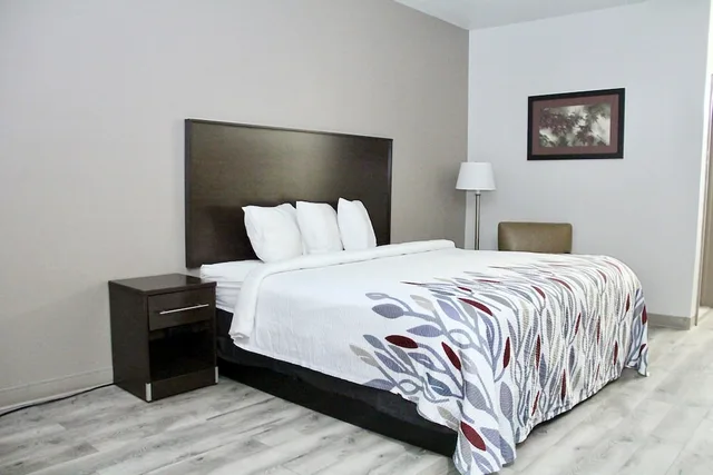 غرفة ديلوكس بسرير كينج لذوي الإعاقة، Red Roof Inn & Suites Lake Orion/Auburn Hills 3/3