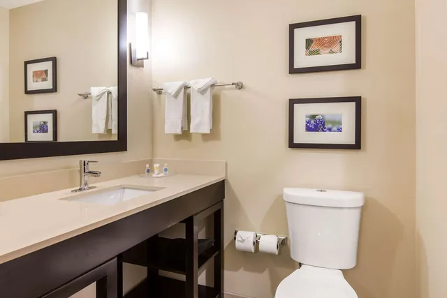 جناح بسريرين كوين لذوي الإعاقة، Comfort Suites South Austin 2/3