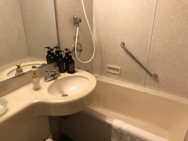 غرفة ديلوكس مفردة، Rembrandt Hotel Tokyo Machida 3/3