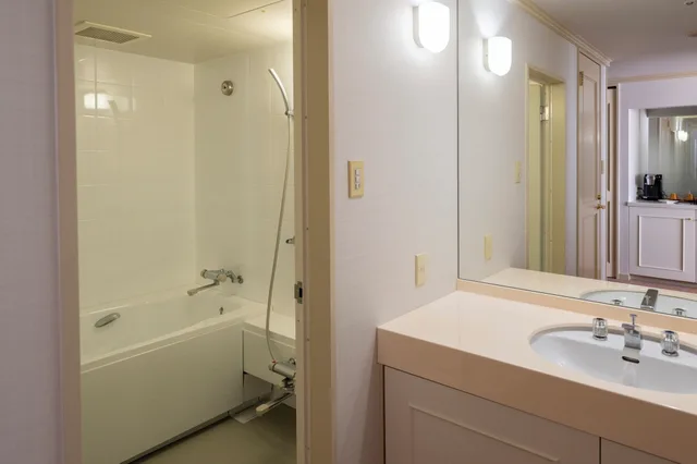 Horizon, Superior, Triple, Twin Beds, Sofa، Hotel New Akao 7/9