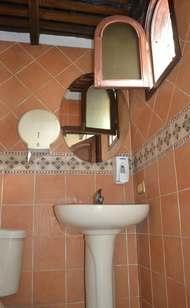 غرفة قياسية بسريرين منفصلين، Villa Florencia Centro Hotel 5/5