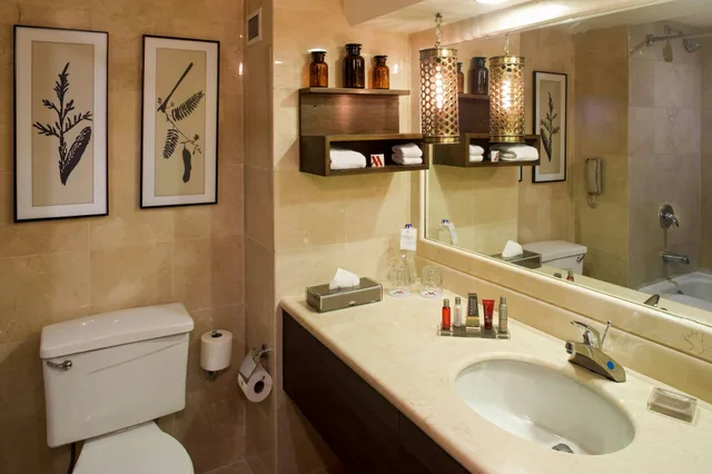 غرفة بسرير مزدوج، Villahermosa Marriott Hotel 2/2