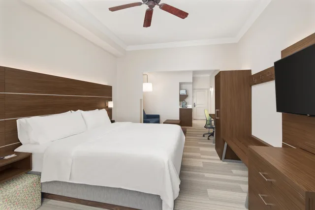 جناح بسرير كينج، Holiday Inn Express Hotel And Suites Byron 1/1
