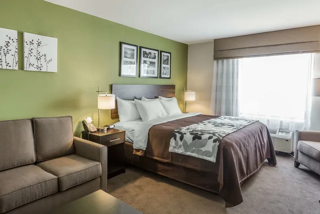 جناح بسرير كينج مع أريكة، Sleep Inn & Suites Dayton South 1/2