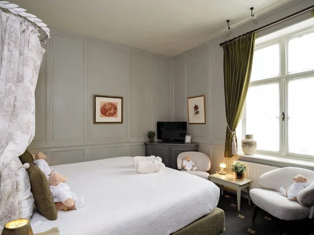 Superior, Double Bed, Street or Terrace View، Hotel Ter Brughe 1/10