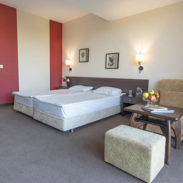 غرفة بسرير فردي بإطلالة على المسبح بشرفة، Flamingo Hotel 3/5
