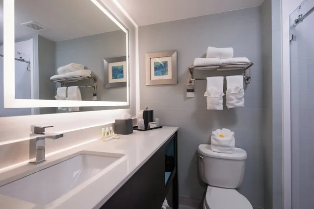 جناح بسرير كينج مع أريكة بمنطقة جلوس، Holliday Inn Belcamp Aberdeen Area Ex Wingate By Wyndham Aberdeen Edgewood 5/7