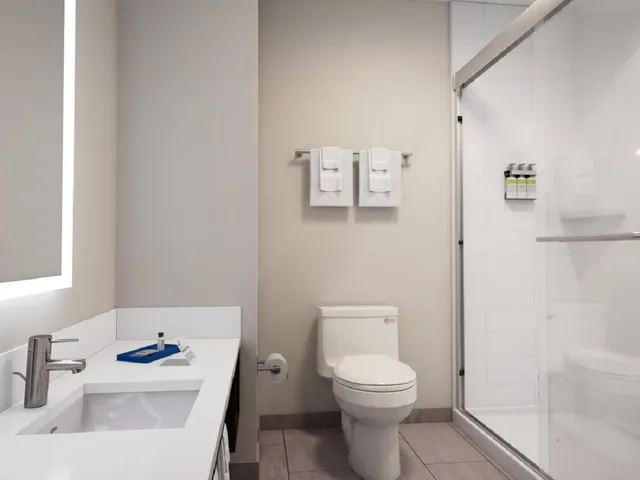 غرفة بسرير كينج لذوي الإعاقة، Holiday Inn Express & Suites Englewood - Denver South 5/5
