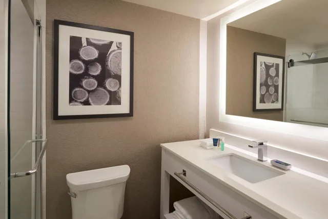 غرفة بسريرين كوين، Four Points by Sheraton Vaughan 9/9