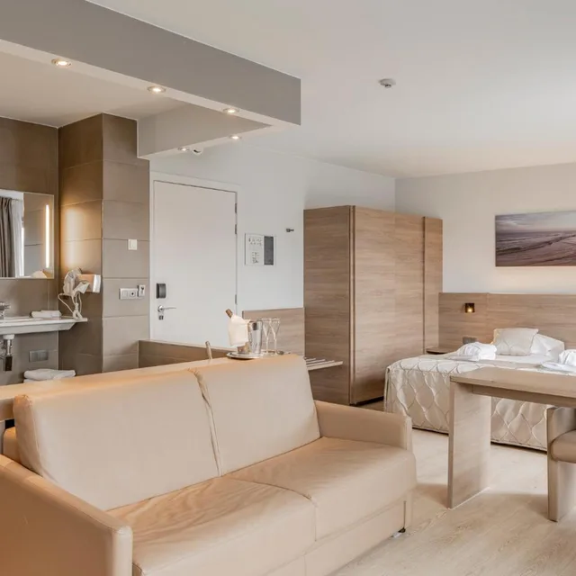 Executive, Penthouse, Suite, Terrace، Casino Hotel 4/9