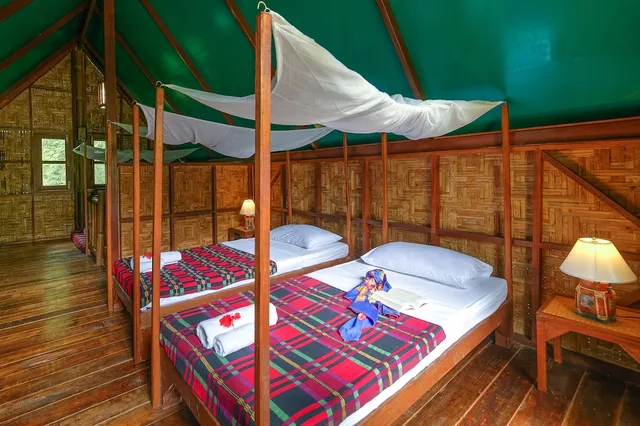 Tree House, Two Story، Our Jungle Camp - Eco Resort 4/9