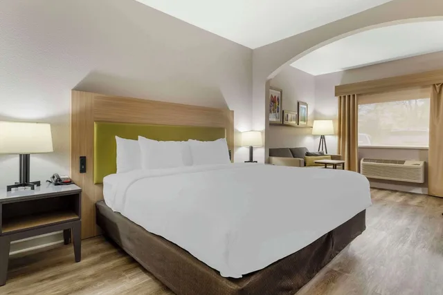 جناح بسرير كينج لذوي الإعاقة، Comfort Suites Shenandoah-The Woodlands 1/5
