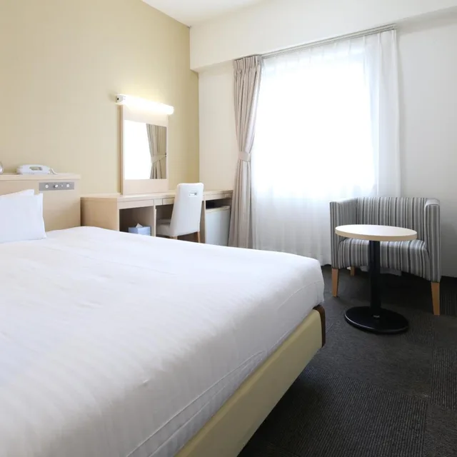 Deluxe, Single, AB Hotel Mikawa Anjo Honkan 1/3