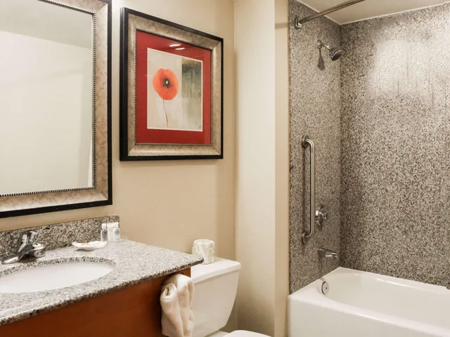 جناح، Comfort Suites At Virginia Center Commons 3/6