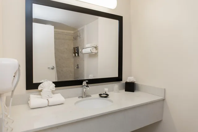 غرفة سوبيريور بسرير كينج، Chicago South Loop Hotel 4/4