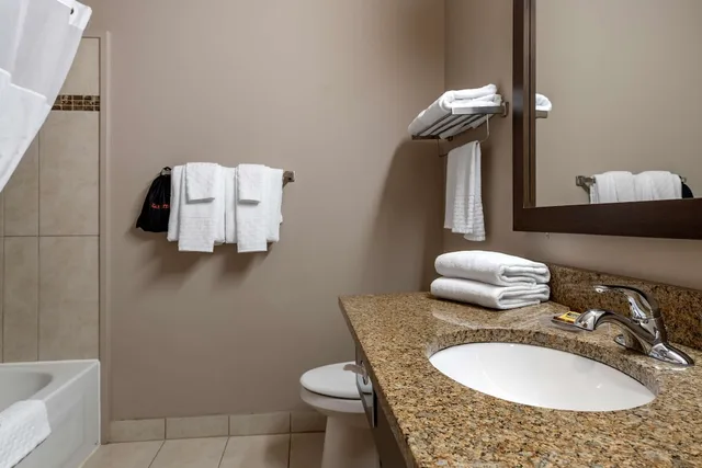غرفة قياسية بسرير كينج، Best Western Plus Bridgewater 8/9
