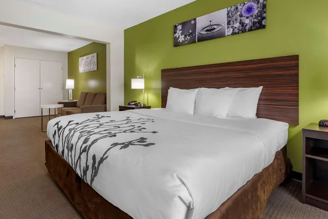 جناح بسرير كينج لذوي الإعاقة، Sleep Inn & Suites Brunswick North, GA 2/4