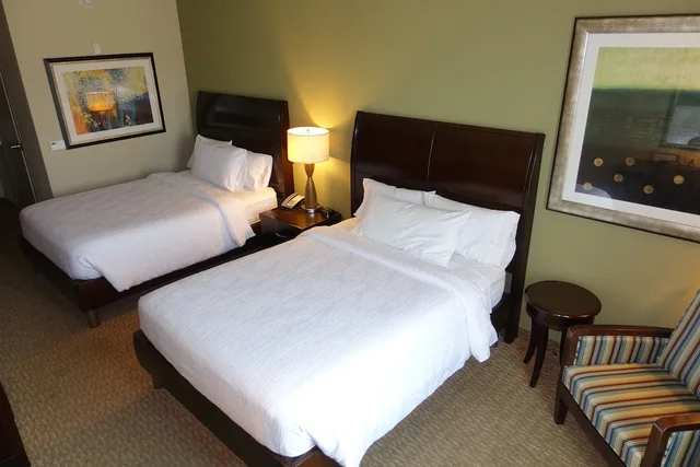 Evolution, 2 Queen Beds، Hilton Garden Inn Houston/Pearland 1/5