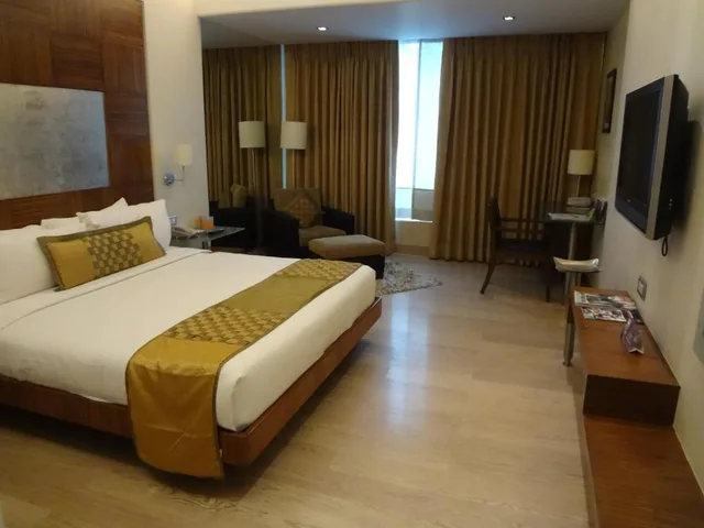 غرفة تنفيذية مفردة، Mirage Hotel 1/13