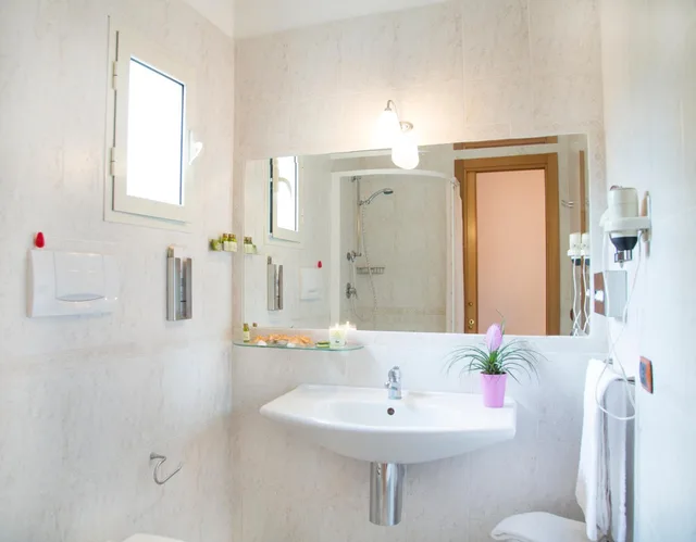 غرفة قياسية بسرير مزدوج أو سريرين منفصلين بشرفة، Garden Hotel Ripa 8/9