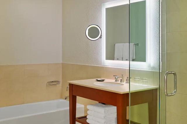 غرفة ديلوكس بسرير كينج بإطلالة مع أريكة، The Westin Tampa Bay 4/6
