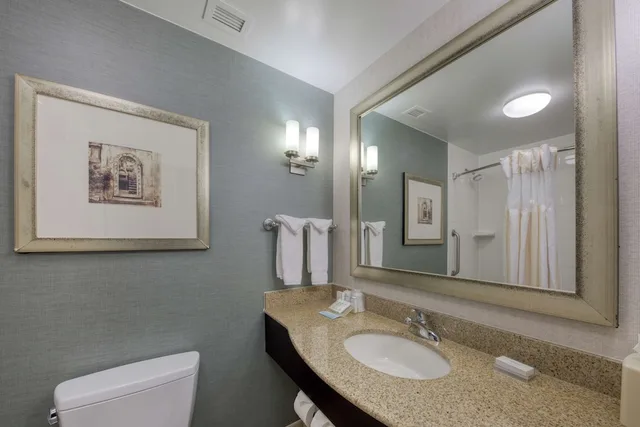 Evolution, King Bed، Hilton Garden Inn Durham Southpoint, NC 5/5