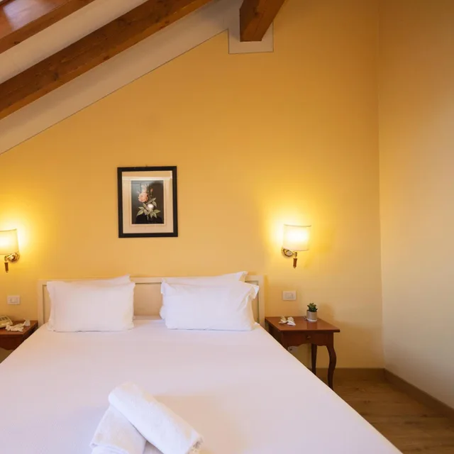 Room, Double or Twin Bed, Lake View, Attic, Hotel Pallanza 1/3