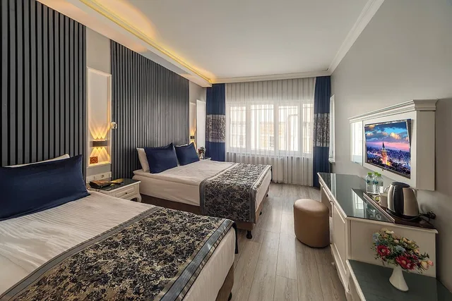 غرفة قياسية بسريرين منفصلين، Hotel Beyazit Palace 4/10