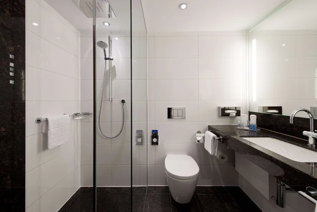 جناح مفرد، Maritim Hotel Darmstadt 2/2