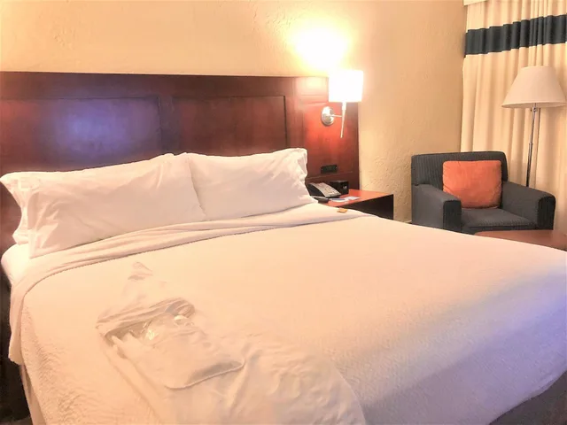 غرفة ديلوكس بسرير مزدوج، Four Points by Sheraton San Rafael Marin County 6/8