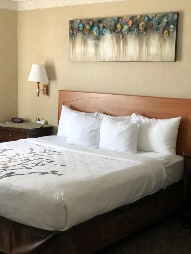 جناح بسرير كينج بجاكوزي، Sleep Inn and Suites Conference Center And Water Park 1/1