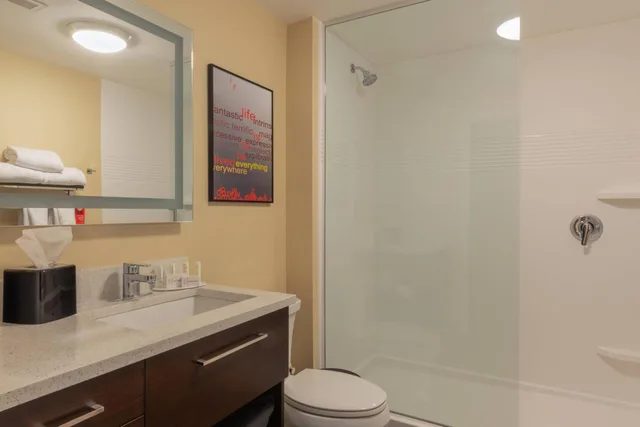 استوديو بسرير كينج بإطلالة على المدينة مع أريكة، Towneplace Suites Syracuse Liverpool 4/4
