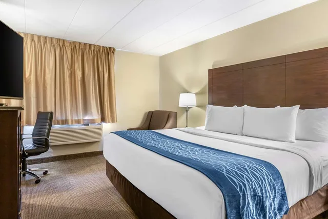 Room, King Bed, Accessible, Comfort Inn Grand Rapids Airport 2/4