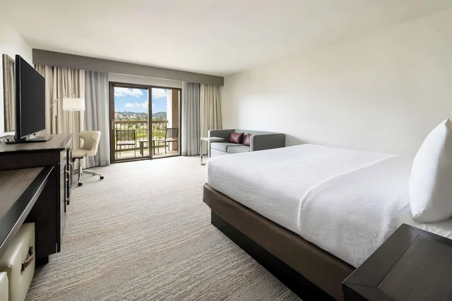Room, King Bed, River View, Balcony, Hampton Inn & Suites Napa 1/10