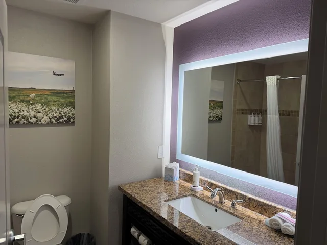 Room, King Bed, Airport View, Accessible، La Quinta Inn and Suites by Wyndham DFW Airport West - Euless 5/7