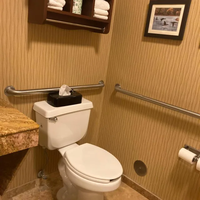 Room, King Bed, Bathtub, Accessible, Comfort Inn Wings Stadium 10/10