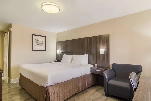 Standard, King Bed, Bay View، Best Western Historic Bayfront 1/7