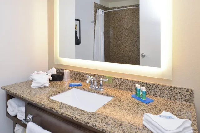 Suite, King Bed, Accessible, Holiday Inn Express Suites Pocatello 8/8