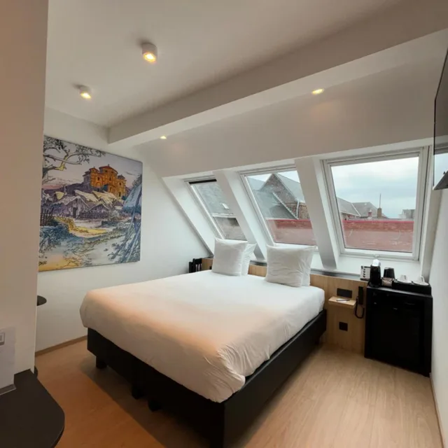 غرفة قياسية بسرير مزدوج، Comic Art Hotel 1/10