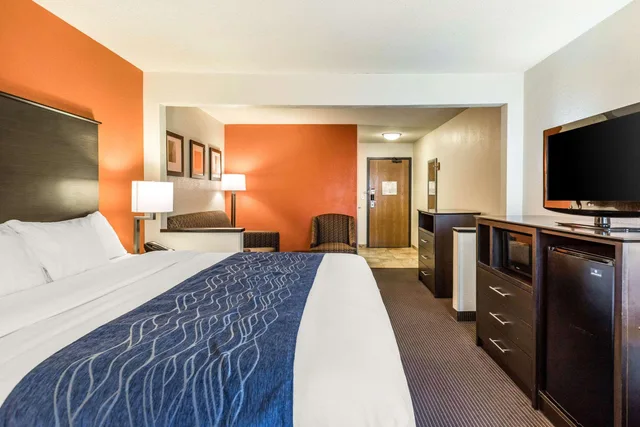 Suite, King Bed, Comfort Inn Wings Stadium 1/4