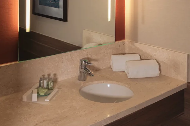 Plaza, Crown, Suite, King Bed، Crowne Plaza Frankfurt Congress Hotel 4/5