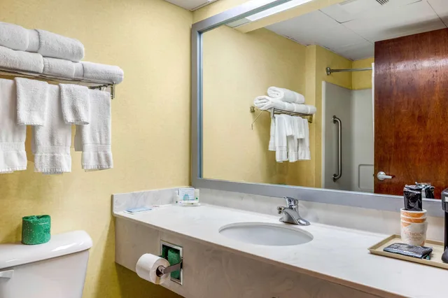 Standard, King Bed, Quality Inn High Point - Archdale 2/2