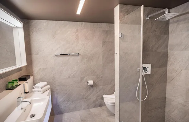 غرفة كلاسيكية، Adlers Hotel 3/3