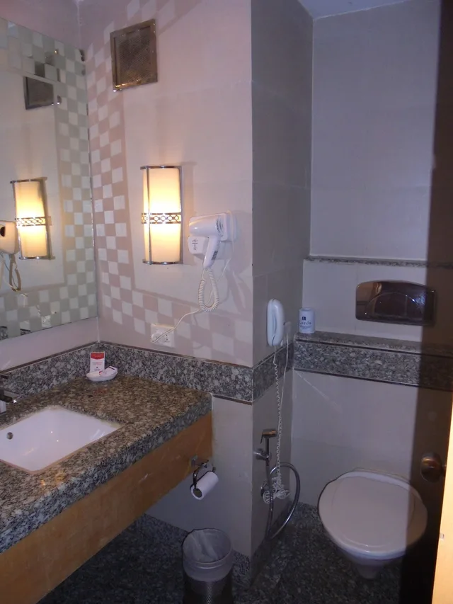 غرفة ديلوكس مفردة، Lords Plaza Ankaleshwar 4/4