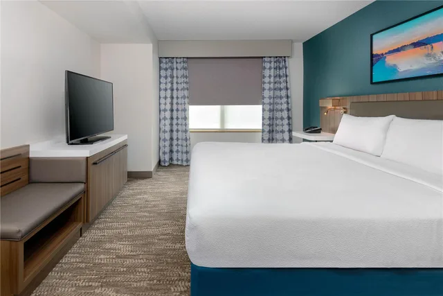 جناح جونيور بسرير كينج مع أريكة، Hilton Garden Inn Buffalo Airport 1/4