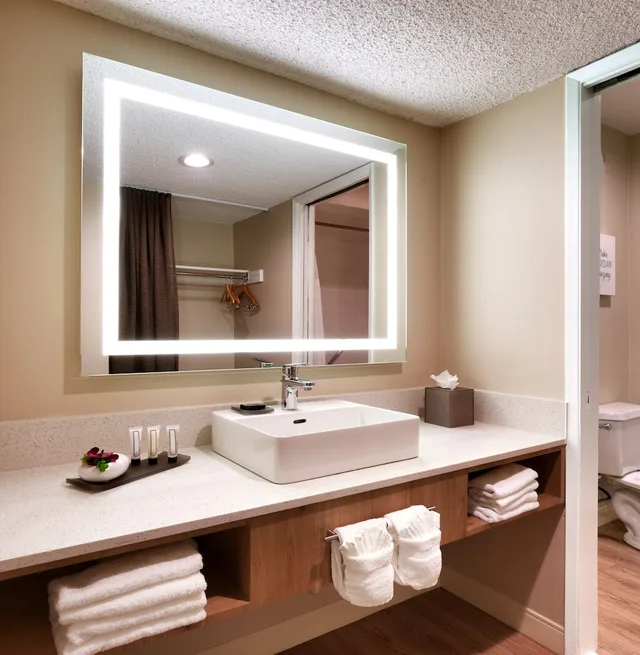 Standard, 2 Double Beds, Atrium Hotel at Orange County Airport 4/4