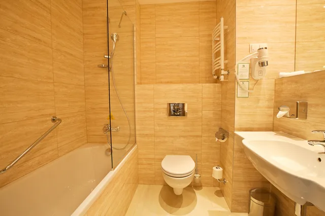 غرفة قياسية بسرير فردي، HOLIDAY INN LODZ 4/4